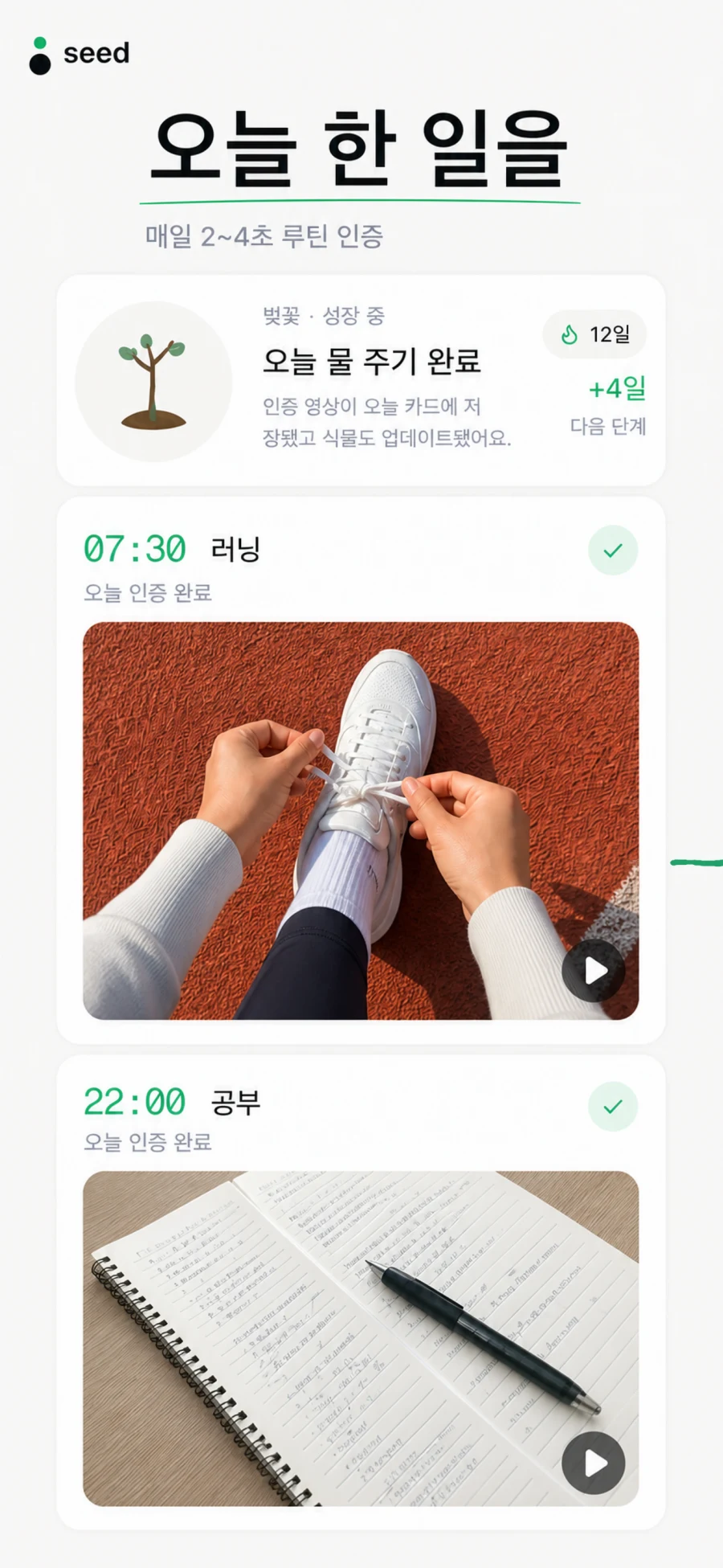 영상 인증과 식물 성장을 보여주는 Seed 오늘 화면